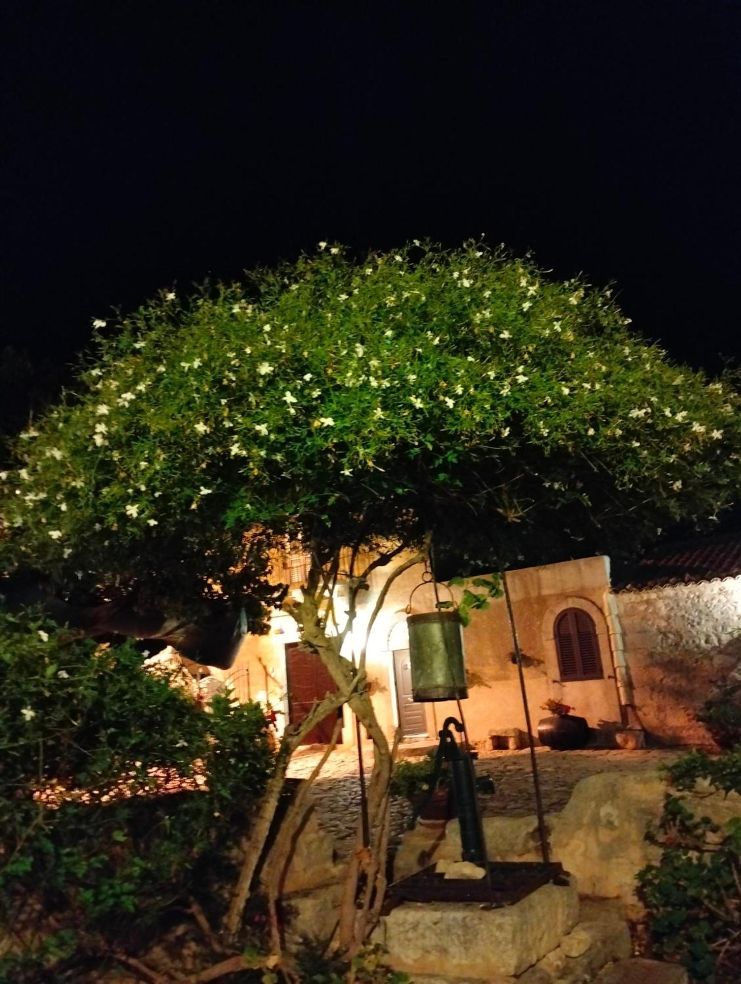 I Dammusi Villa Santa Croce Camerina Eksteriør bilde